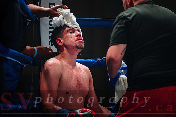 Shaw Boxing 2022