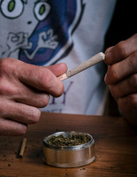 Cannabis