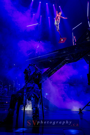 Cirque Du Soleil - Volta