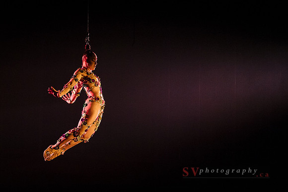Cirque Du Soleil - Volta