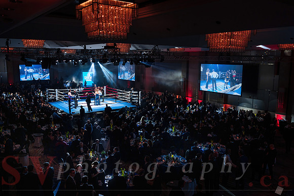 Shaw Boxing 2022