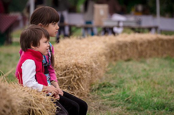 McVean Farm Picnic