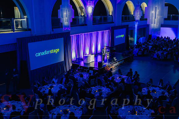 2015 Canadian Stage Theatre Ball at the Arcadian Court