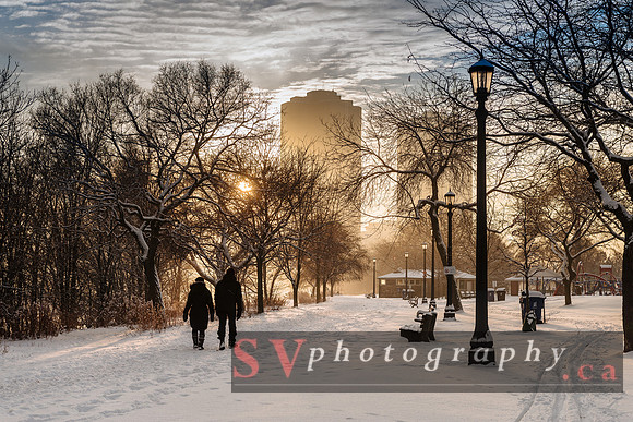 Winter Wonderland