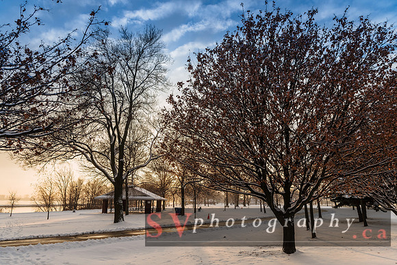 Winter Wonderland
