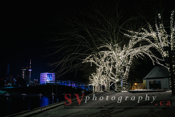 Winter Light Exhibition