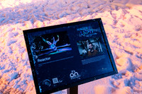Winter Light Exhibition