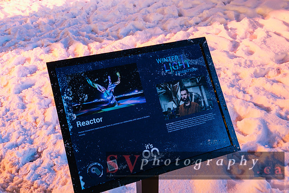 Winter Light Exhibition