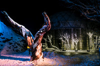 Winter Light Exhibition