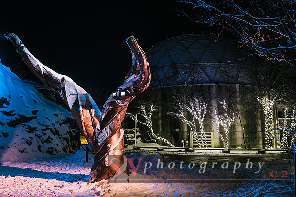 Winter Light Exhibition