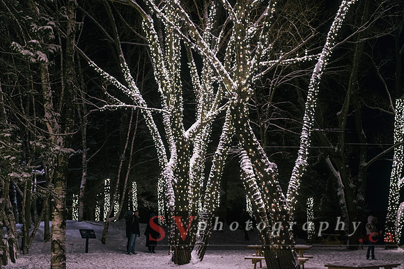 Winter Light Exhibition