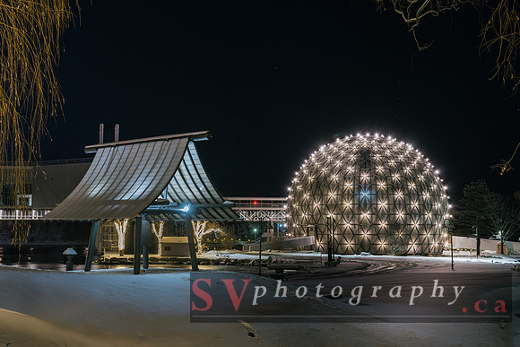 Winter Light Exhibition