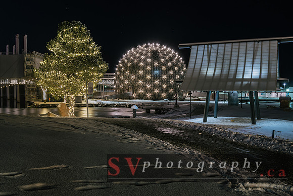 Winter Light Exhibition