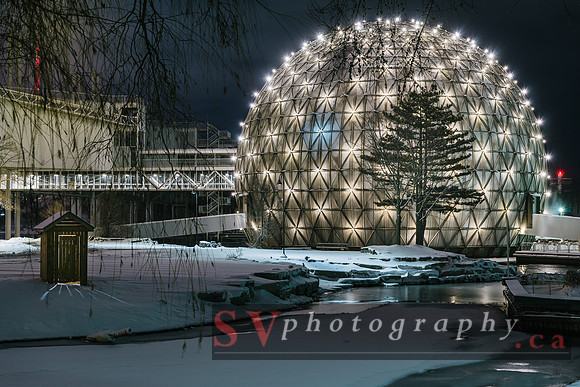 Winter Light Exhibition