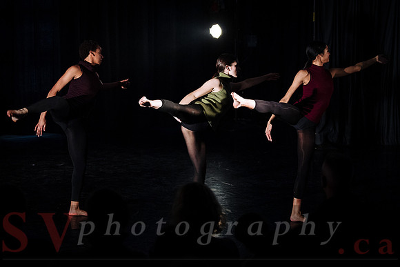 2018 Choreographic Workshop