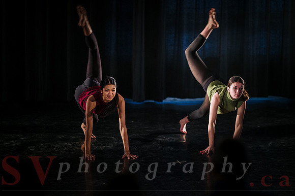 2018 Choreographic Workshop