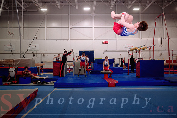 Gymnastics Mississauga