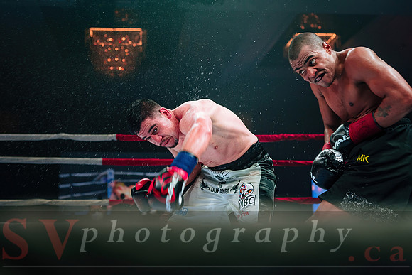 Shaw Boxing 2022