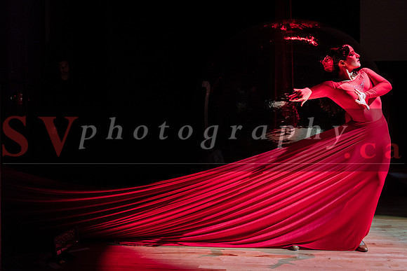 The Shiver Show -  The Magic of Skating and Dance on Stage