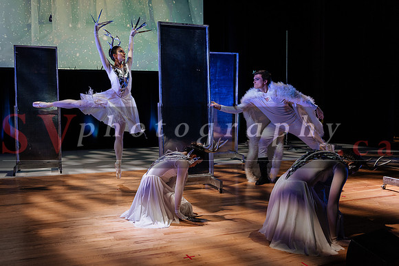The Shiver Show -  The Magic of Skating and Dance on Stage