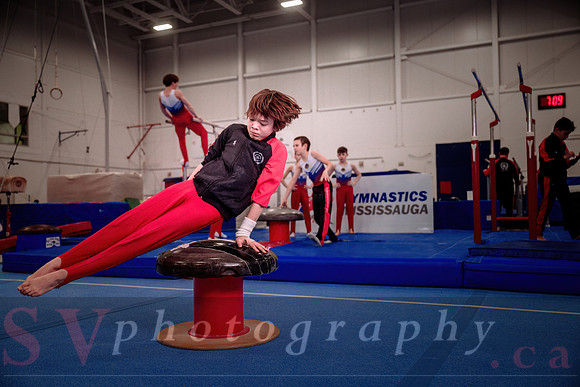 Gymnastics Mississauga