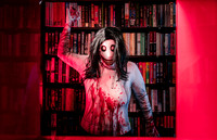After Hours at the Bookstore