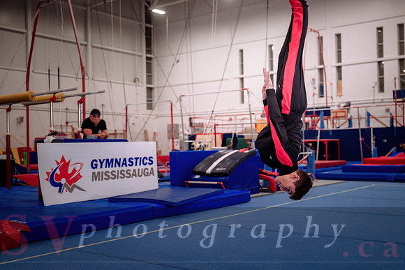 Gymnastics Mississauga