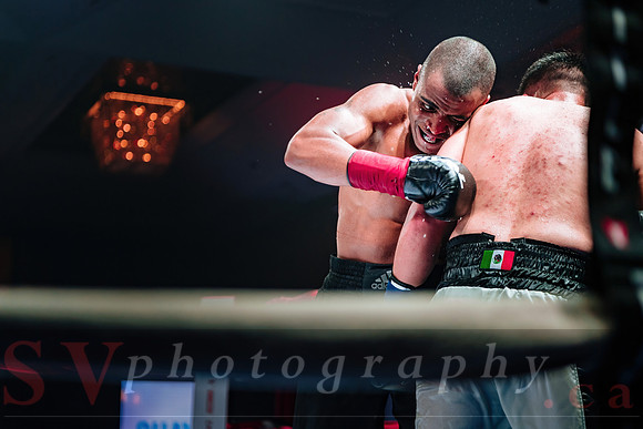 Shaw Boxing 2022