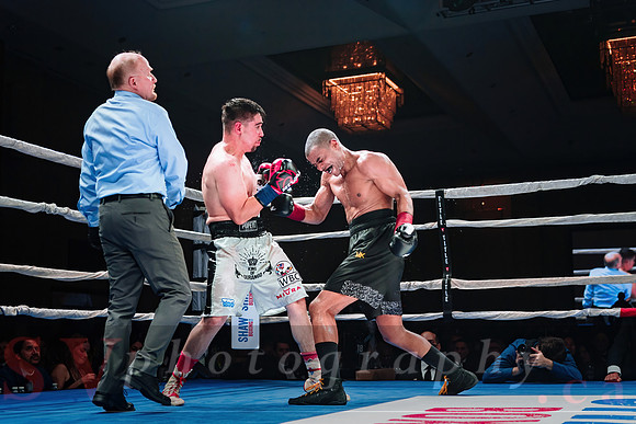 Shaw Boxing 2022