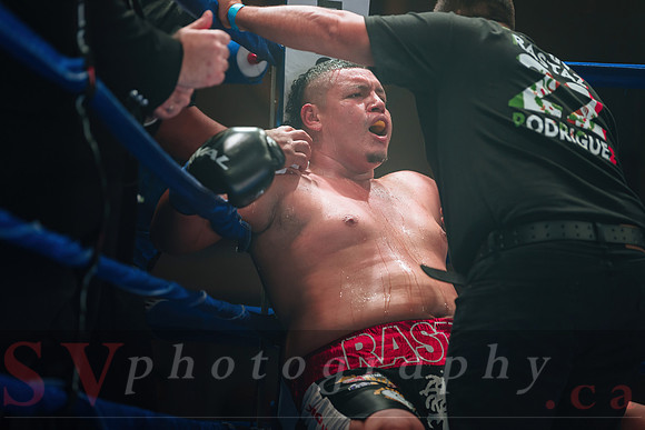Shaw Boxing 2022