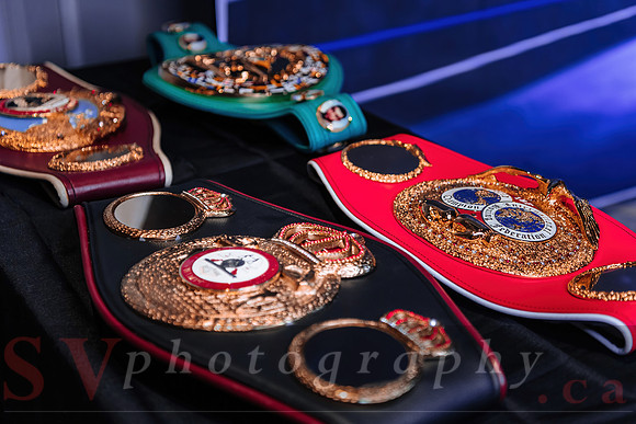Shaw Boxing 2022