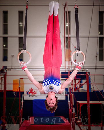 Gymnastics Mississauga