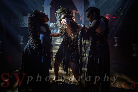 Transcen|Dance Project presents Ophis