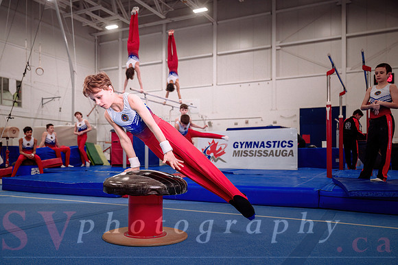 Gymnastics Mississauga