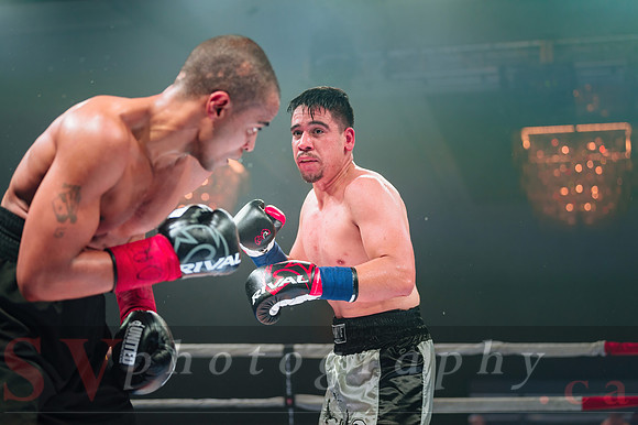 Shaw Boxing 2022