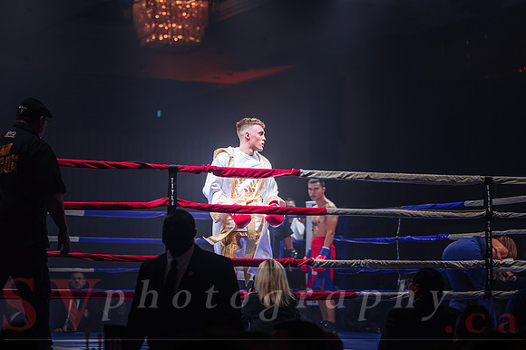 Shaw Boxing 2022