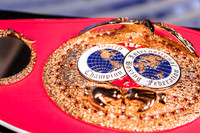 Shaw Boxing 2022