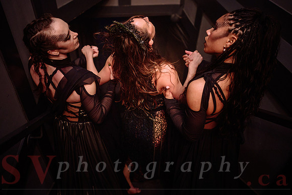 Transcen|Dance Project presents Ophis