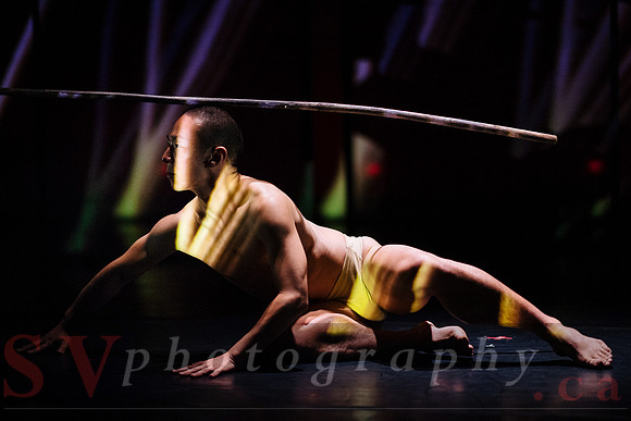 The New Zealand Dance Company In Transit by Louise Potiki Bryan