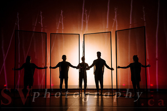 The New Zealand Dance Company In Transit by Louise Potiki Bryan