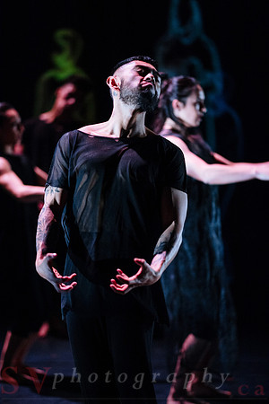 The New Zealand Dance Company In Transit by Louise Potiki Bryan