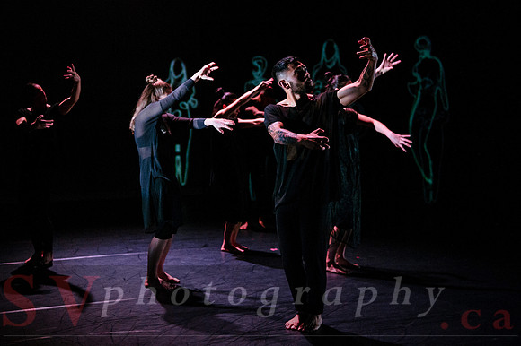 The New Zealand Dance Company In Transit by Louise Potiki Bryan