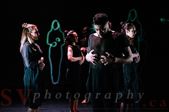 The New Zealand Dance Company In Transit by Louise Potiki Bryan