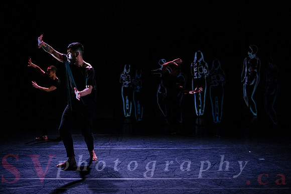 The New Zealand Dance Company In Transit by Louise Potiki Bryan
