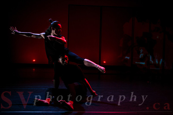 The New Zealand Dance Company In Transit by Louise Potiki Bryan