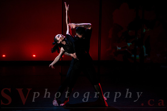 The New Zealand Dance Company In Transit by Louise Potiki Bryan