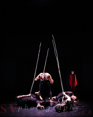 The New Zealand Dance Company In Transit by Louise Potiki Bryan