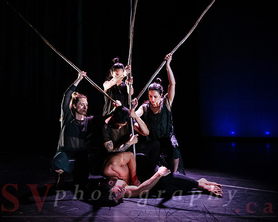 The New Zealand Dance Company In Transit by Louise Potiki Bryan
