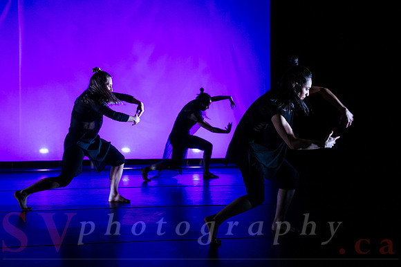 The New Zealand Dance Company In Transit by Louise Potiki Bryan