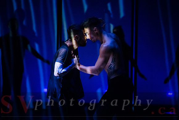 The New Zealand Dance Company In Transit by Louise Potiki Bryan